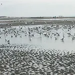 - Res Du Parc- * Hardelot-Plage
