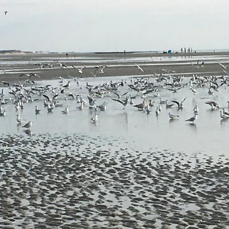 - Res Du Parc- * Hardelot-Plage